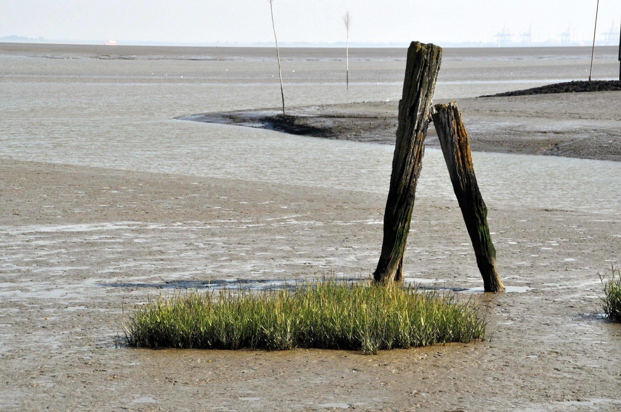 Strand Hotel Nordsee, Hotel Deichlaeufer Tossens Luaran gambar
